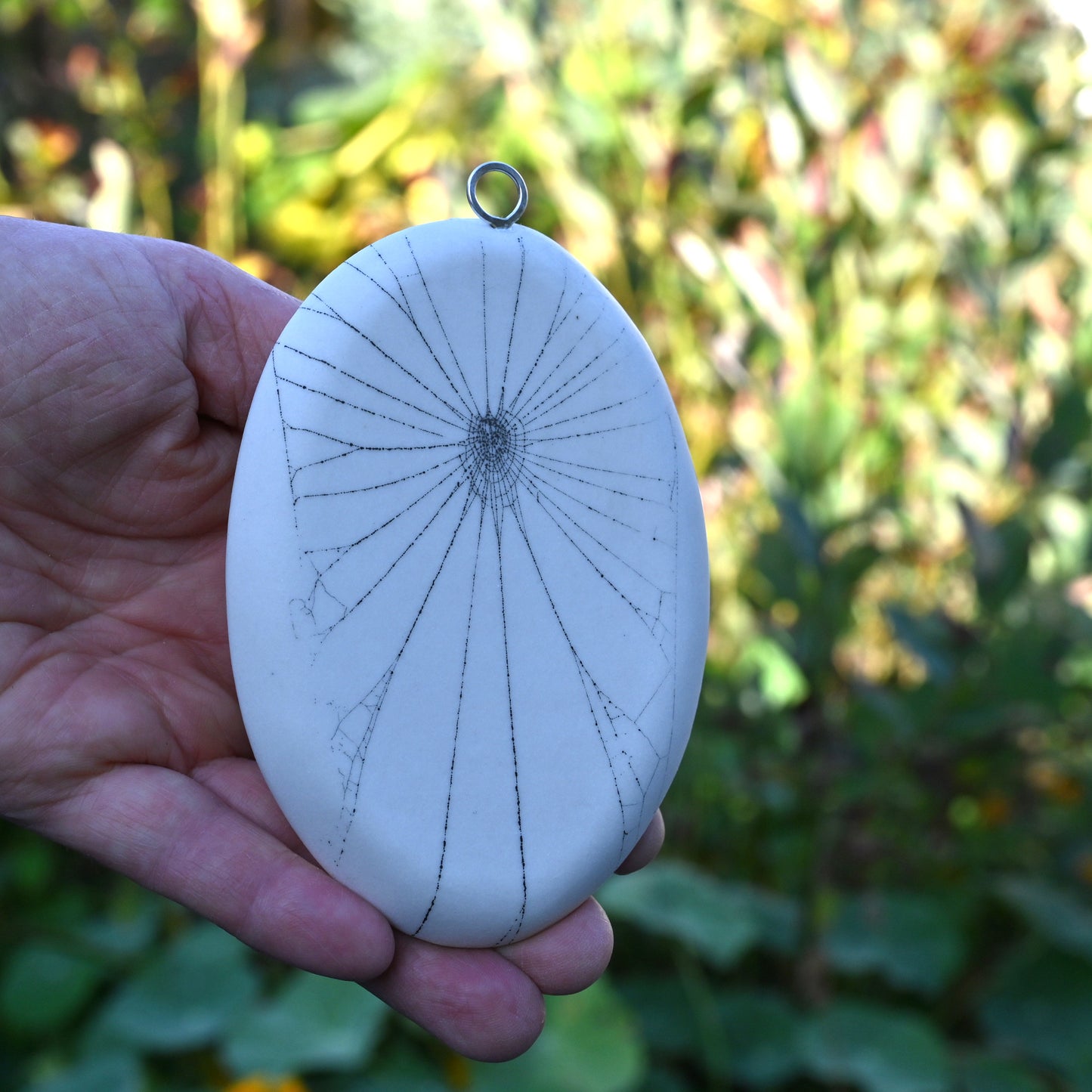Web on Clay (154), Collected August 31, 2022
