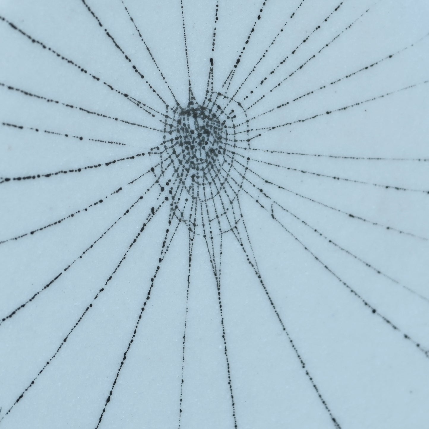 Web on Clay (154), Collected August 31, 2022