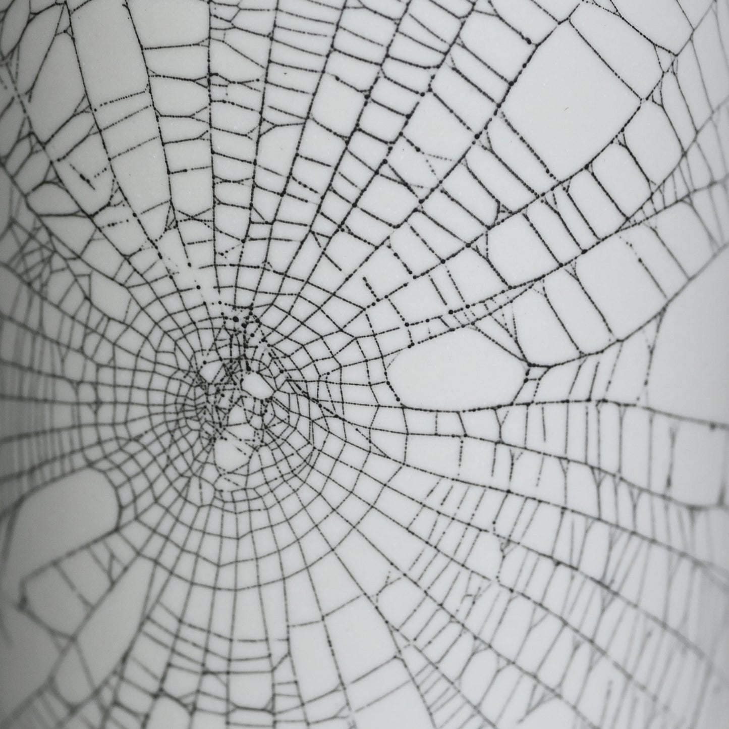 Web on Clay (167), Collected September 17, 2022