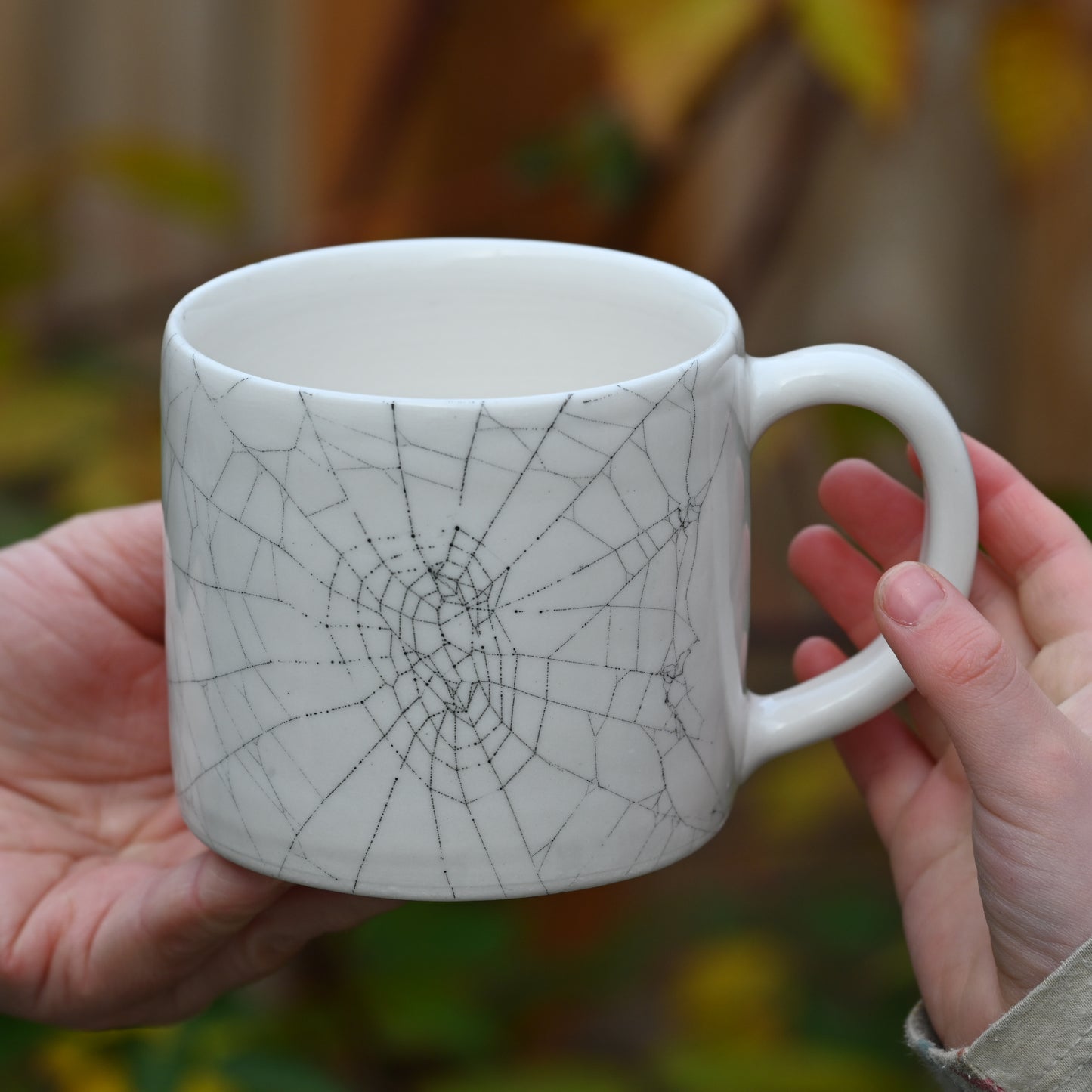 Web on Clay (253), Web Collected October 26, 2022