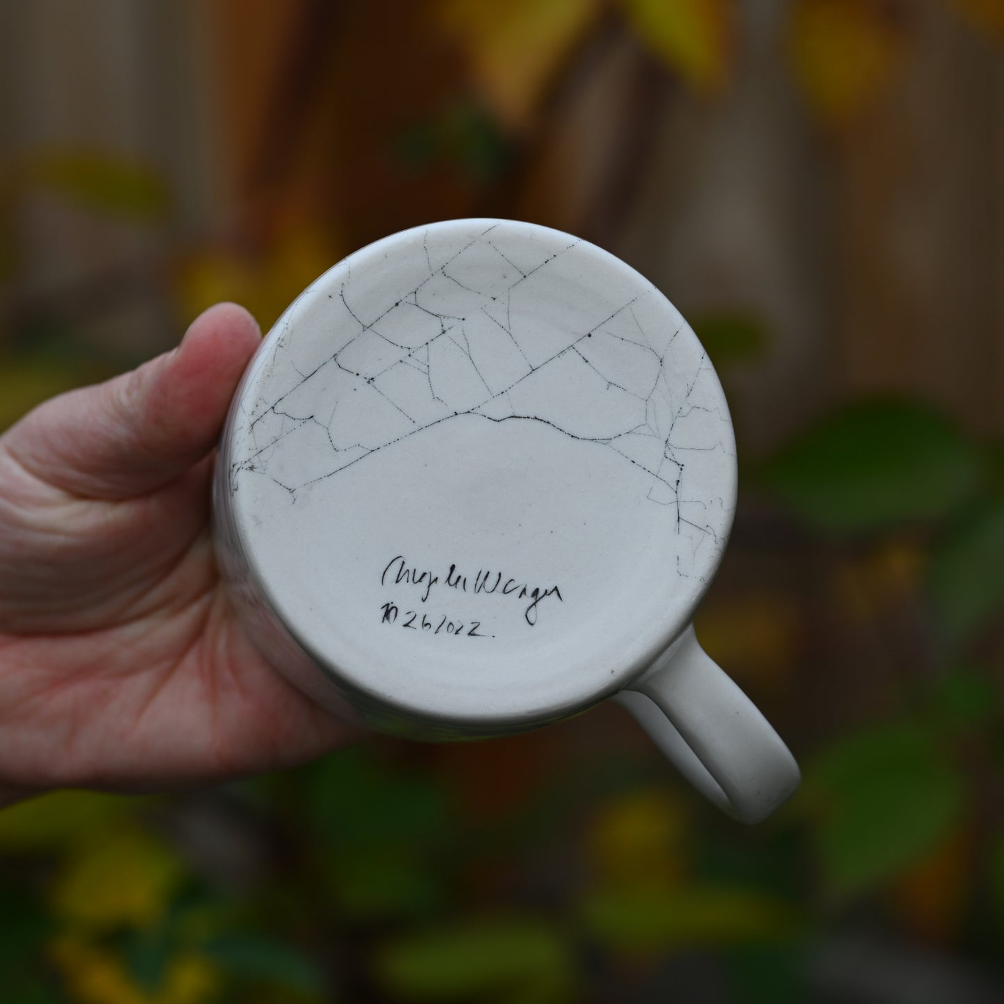 Web on Clay (253), Web Collected October 26, 2022