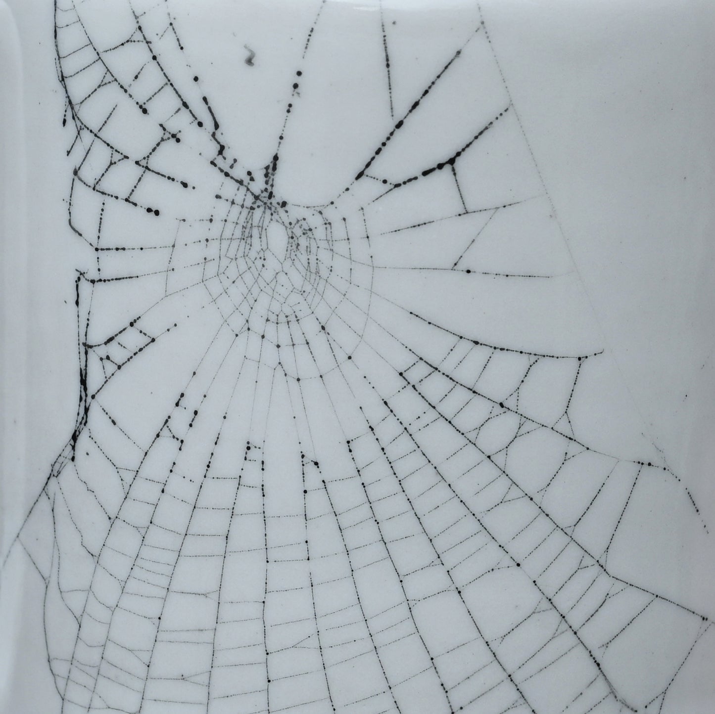 Double Web on Clay (258), Webs Collected September 28, 2022