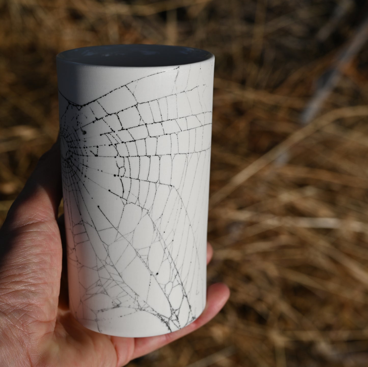 Web on Clay (081), Collected September 05, 2022