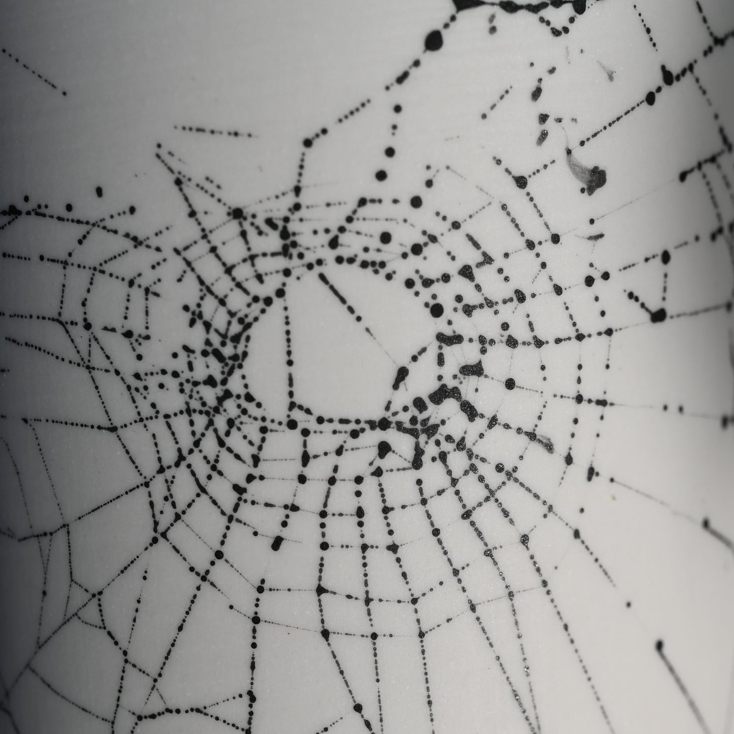 Web on Clay (081), Collected September 05, 2022