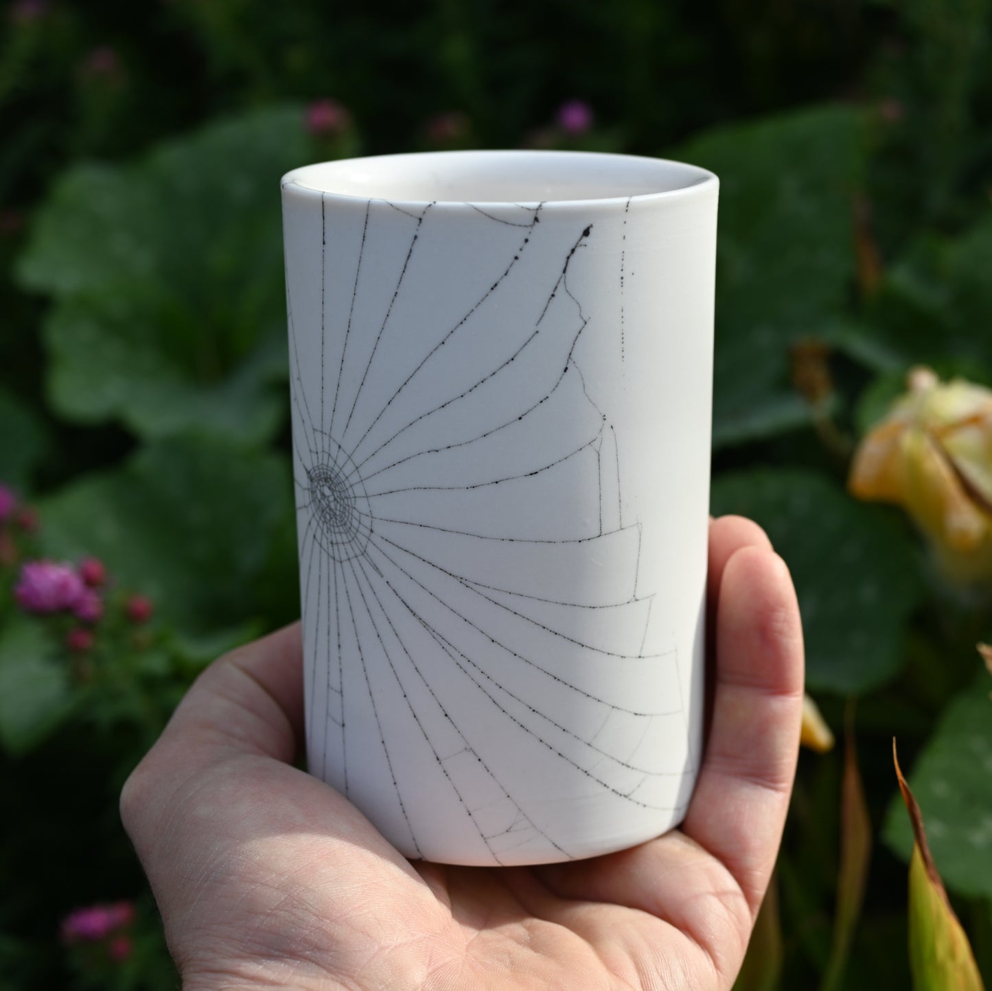 Web on Clay (088), Collected September 04, 2022