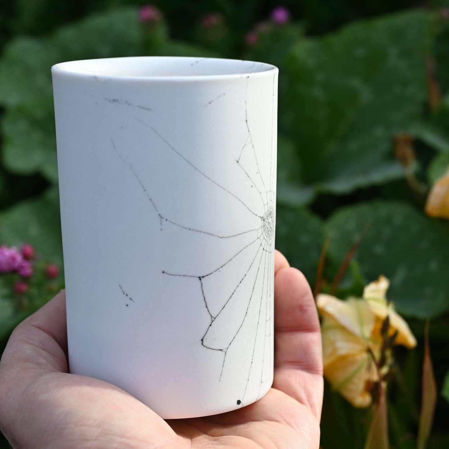 Web on Clay (088), Collected September 04, 2022