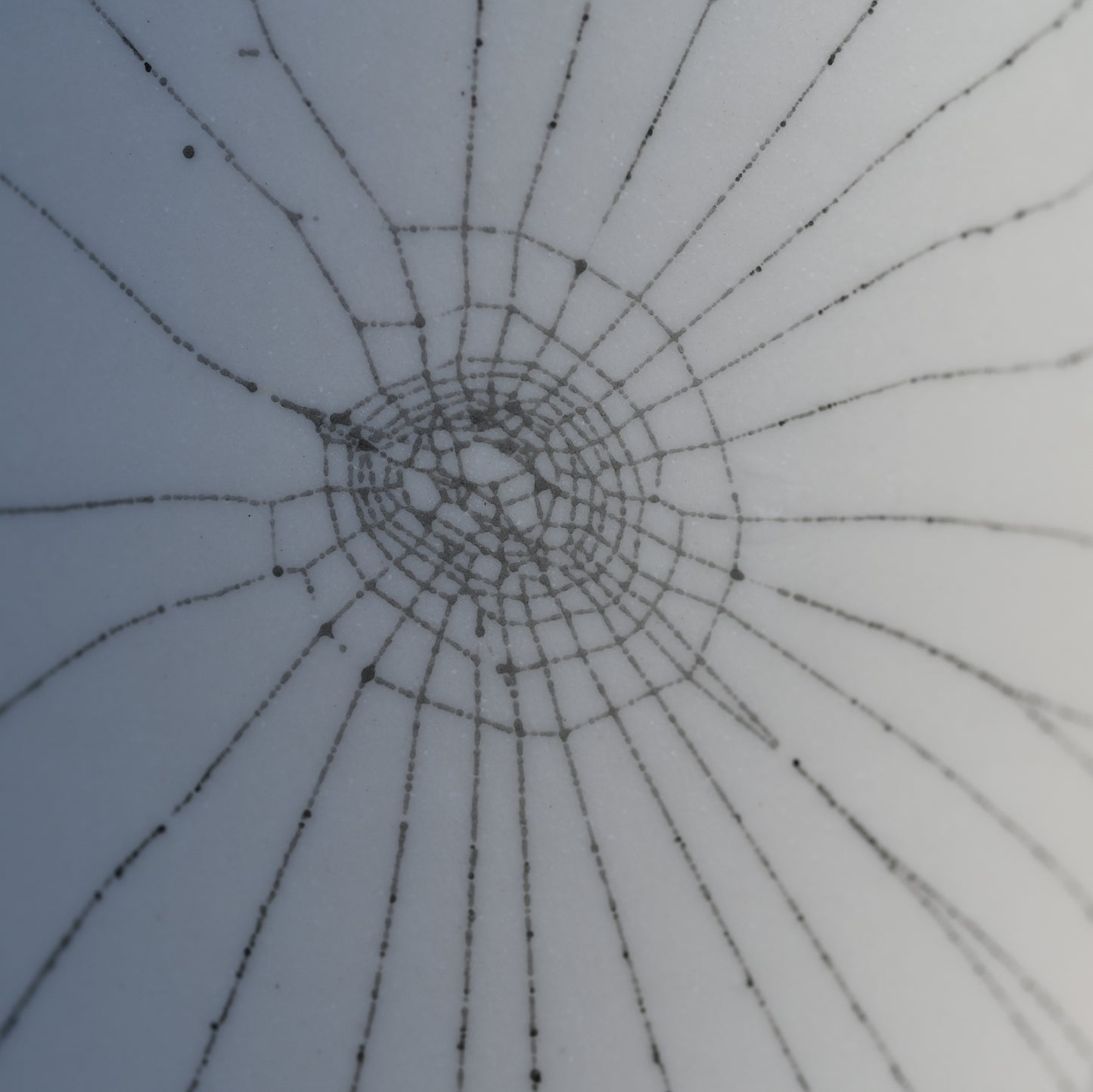Web on Clay (088), Collected September 04, 2022