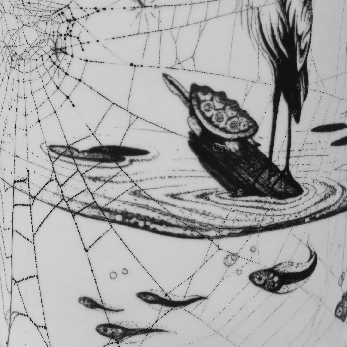 Web & Drawing on Clay (276)
