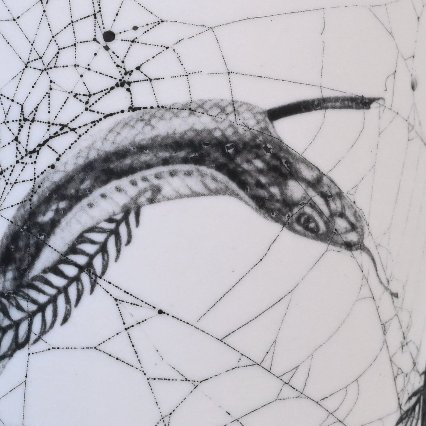 Web & Drawing on Clay (277)