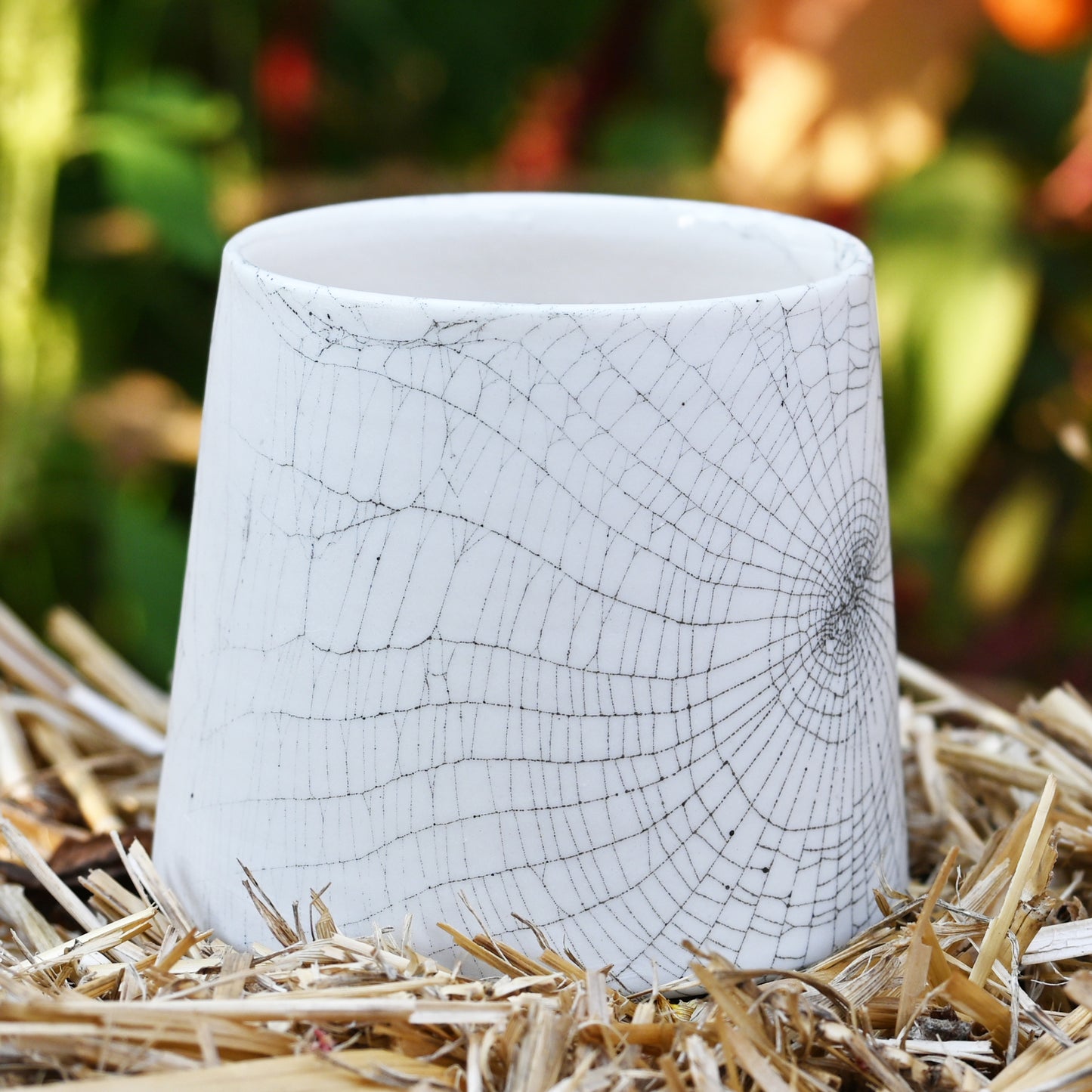 Web On Clay (280),  Webs Collected August 16, 2022