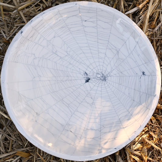 Web on Clay (281), Web Collected October 15, 2022