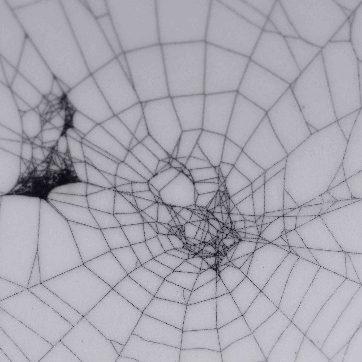 Web on Clay (281), Web Collected October 15, 2022