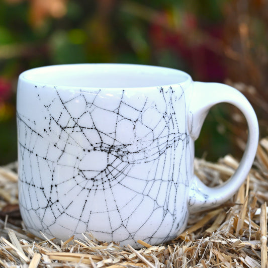Web on Clay (282), Web Collected October 26, 2022