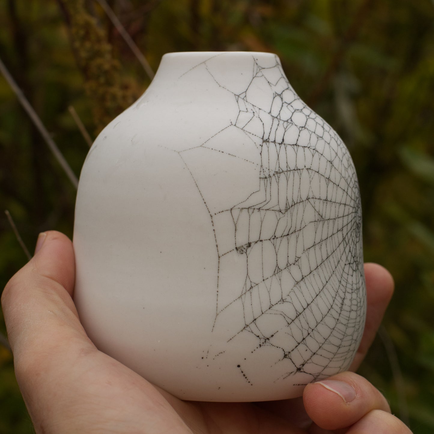 Web on Clay (053), Collected August 25, 2022