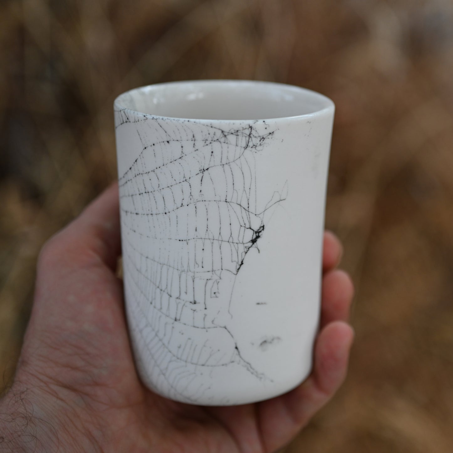 Web on Clay (010), Collected July 30, 2022