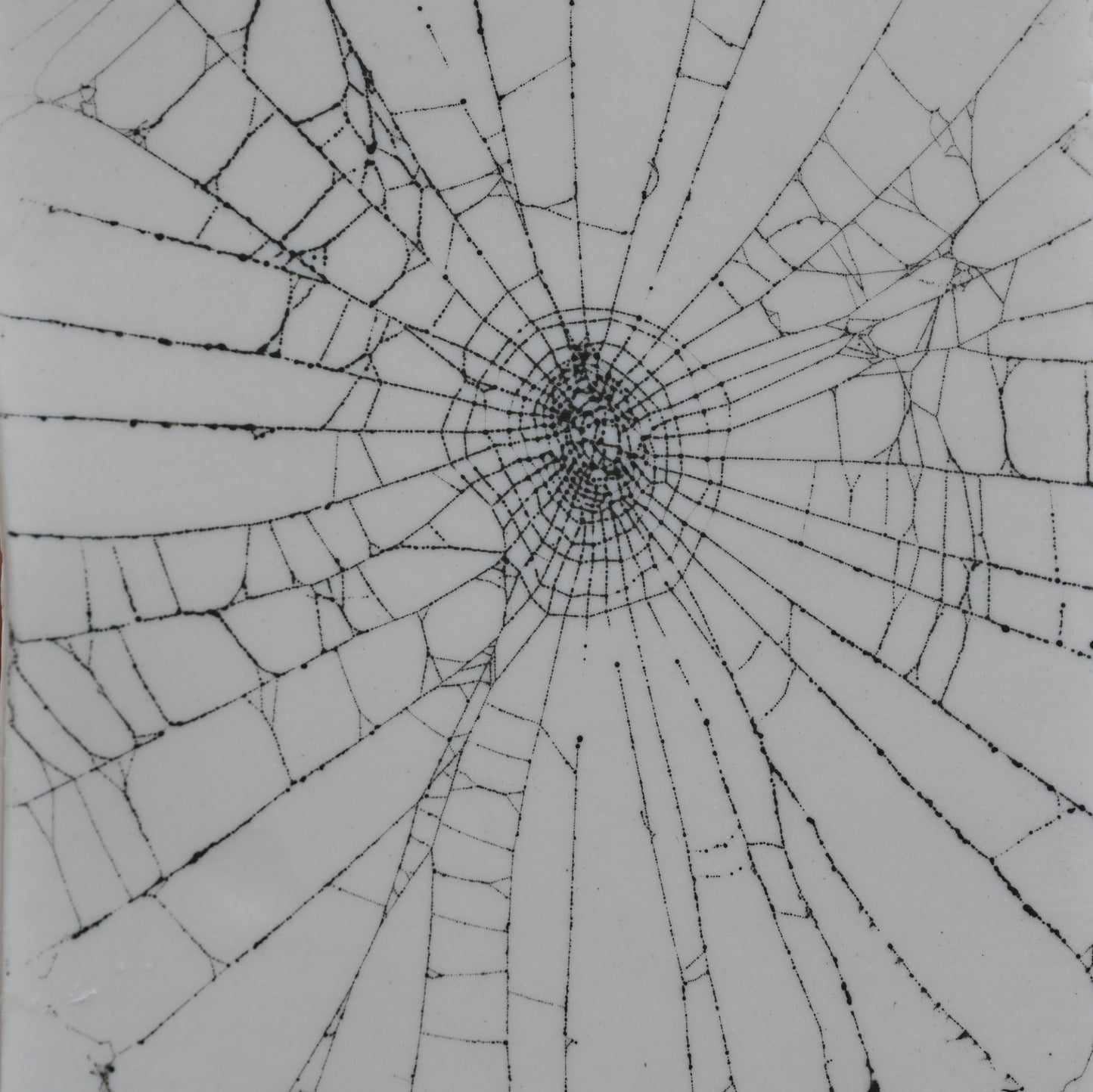 Web on Clay (132), Collected August 25, 2022
