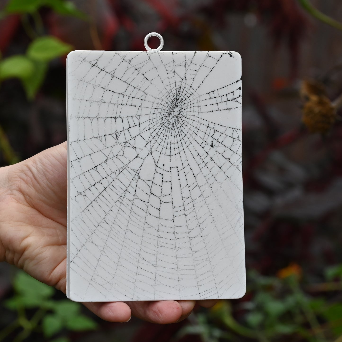 Web on Clay (133), Collected August 25, 2022