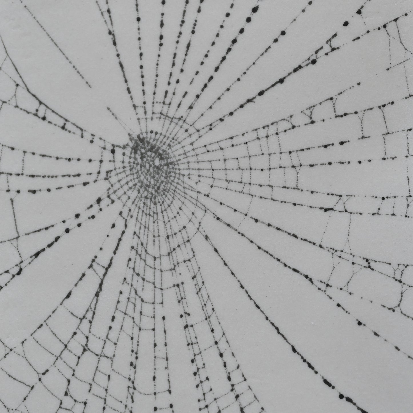 Web on Clay (134), Collected September 01, 2022