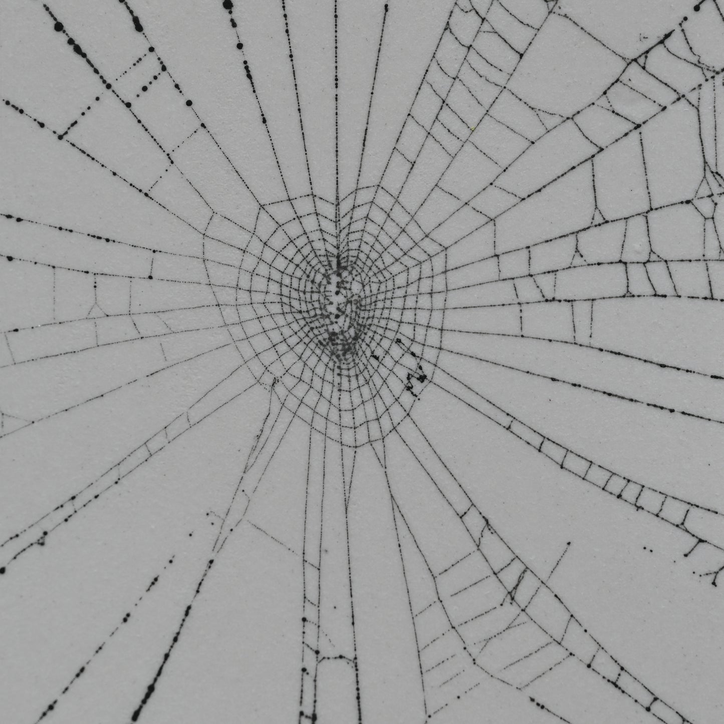 Web on Clay (136), Collected August 19, 2022