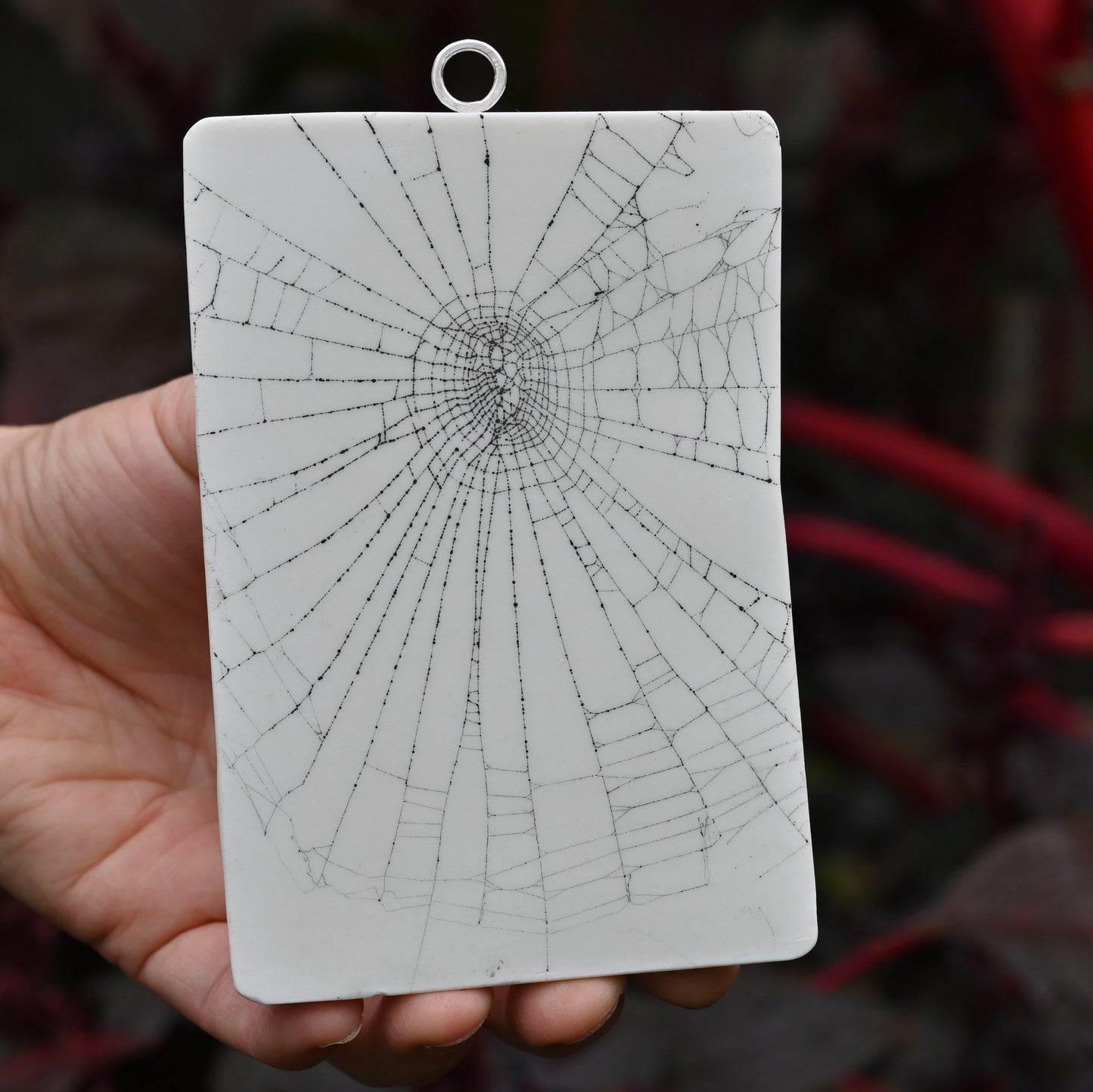 Web on Clay (135), Collected August 31, 2022