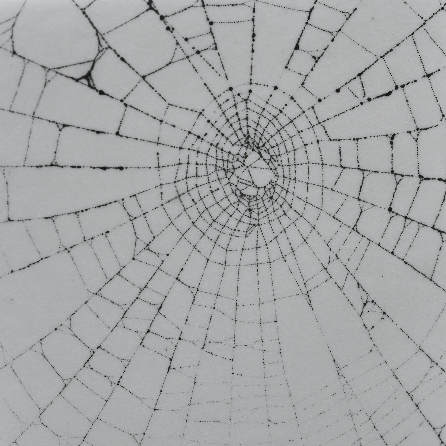 Web on Clay (138), Collected August 31, 2022