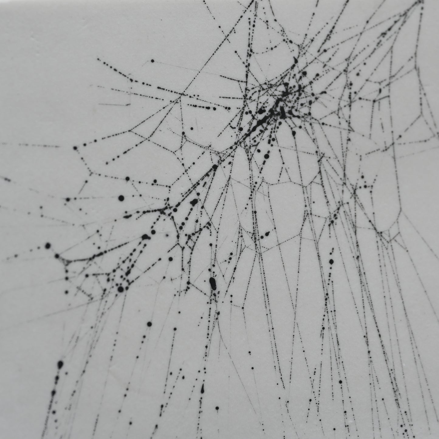Web on Clay (140), Collected August 31, 2022