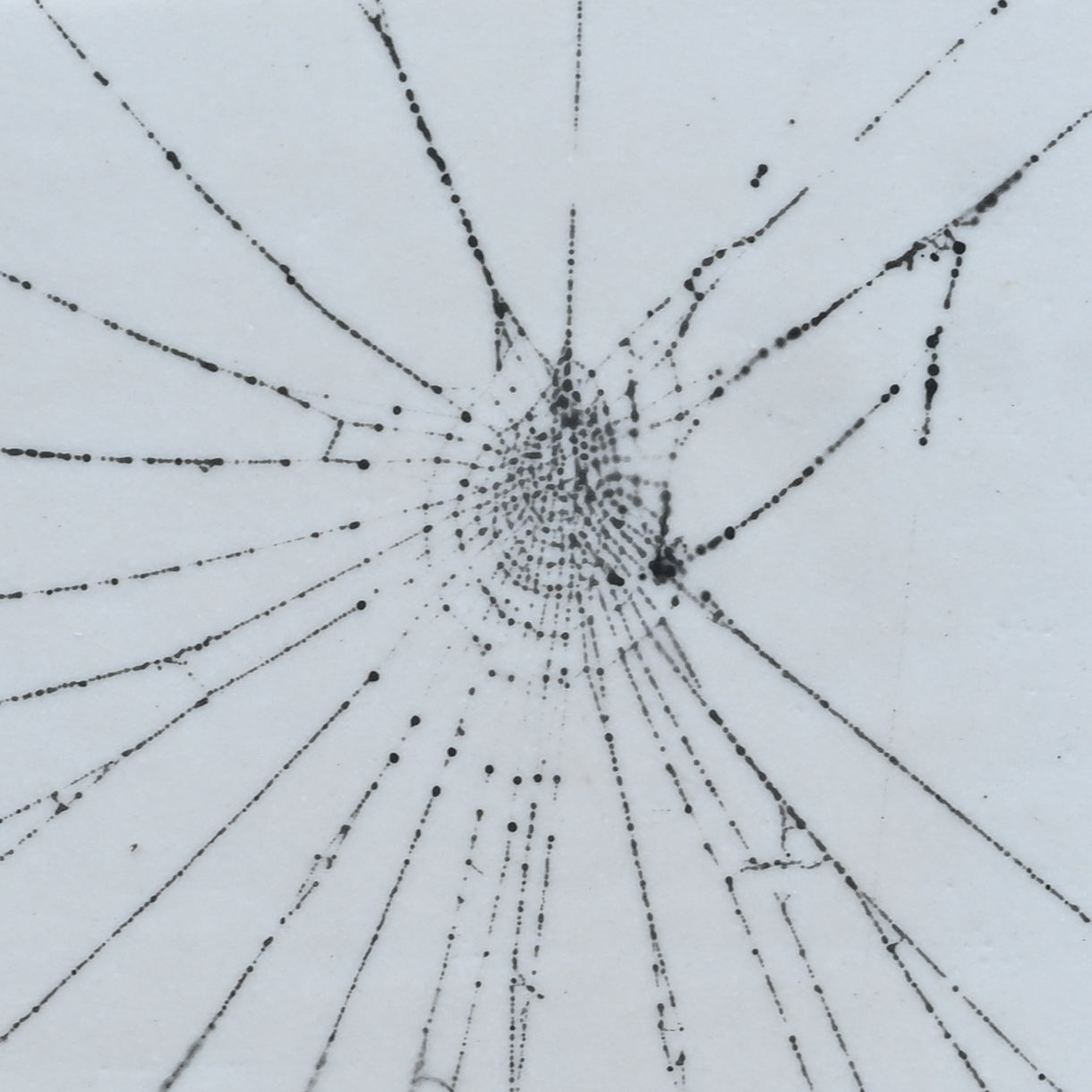Web on Clay (151), Collected August 31, 2022