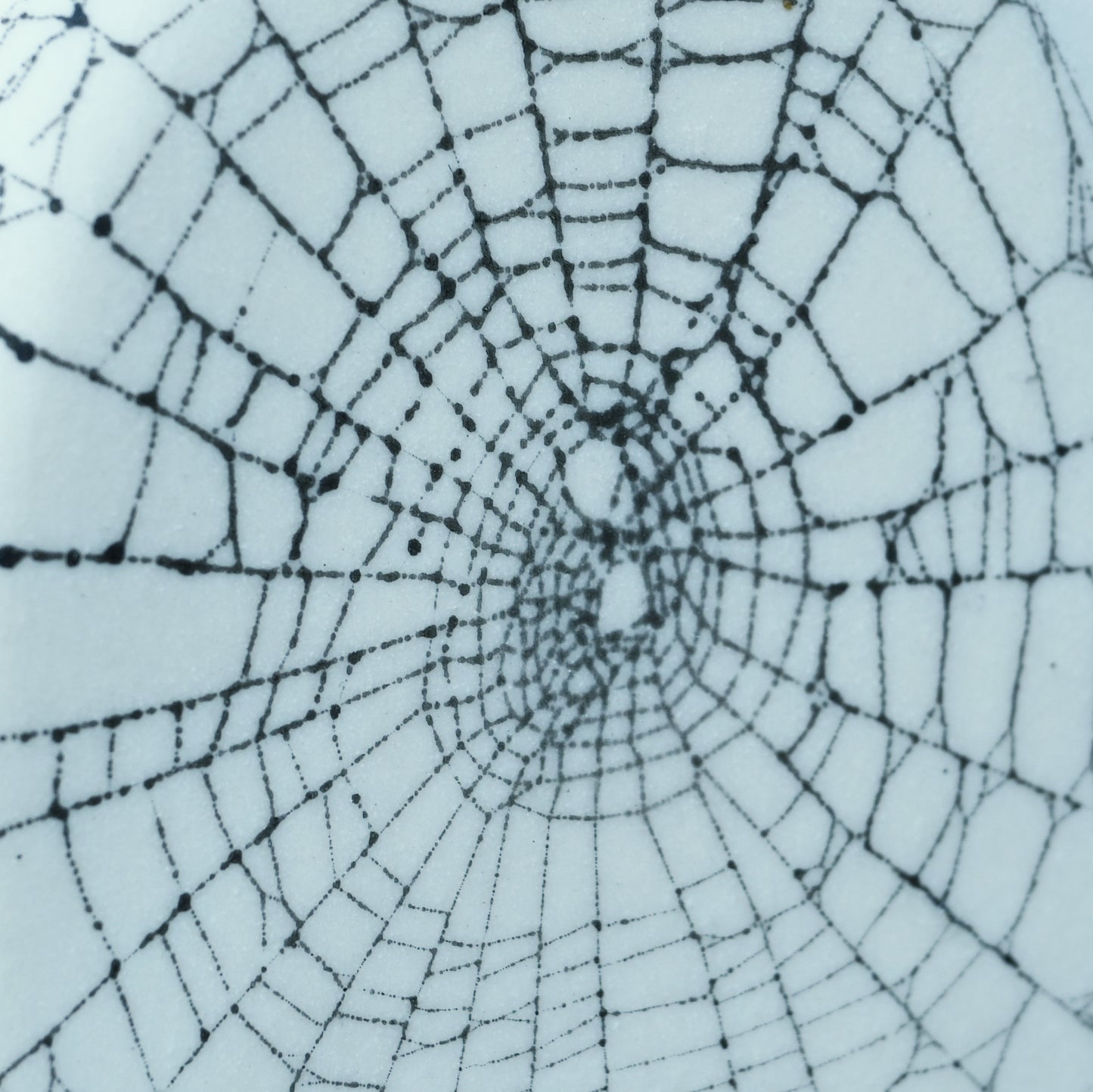 Web on Clay (155), Collected August 31, 2022