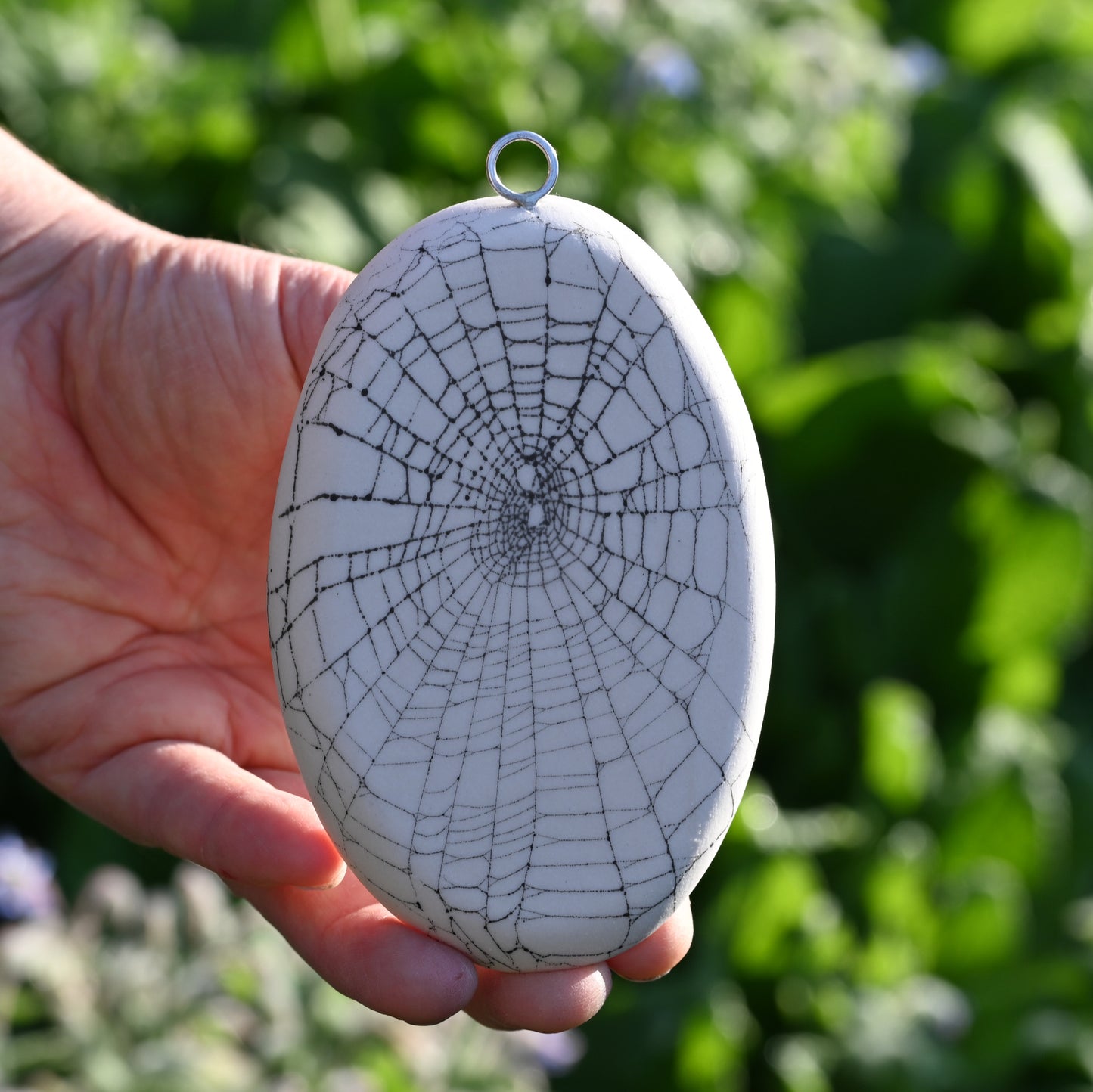 Web on Clay (155), Collected August 31, 2022