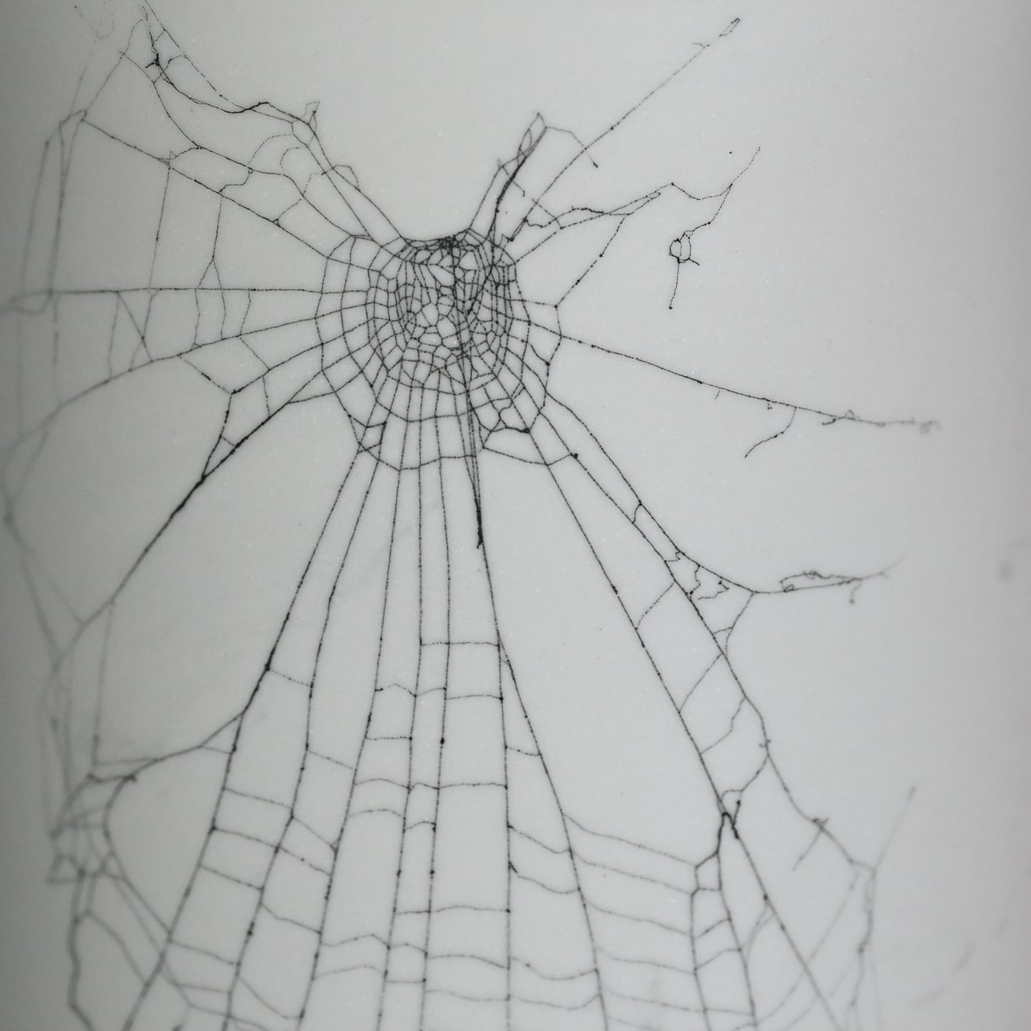 Web on Clay (159), Collected September 12, 2022