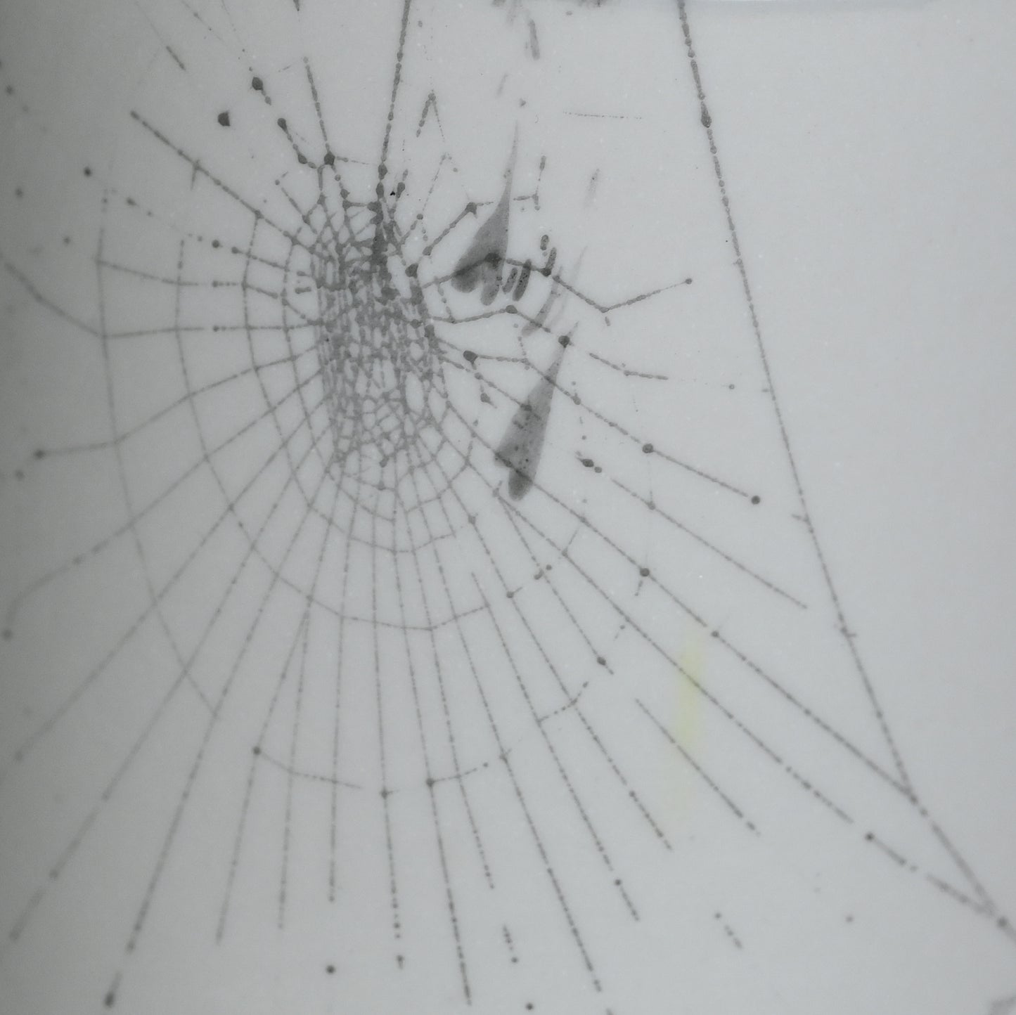 Web on Clay (161), Collected September 12, 2022
