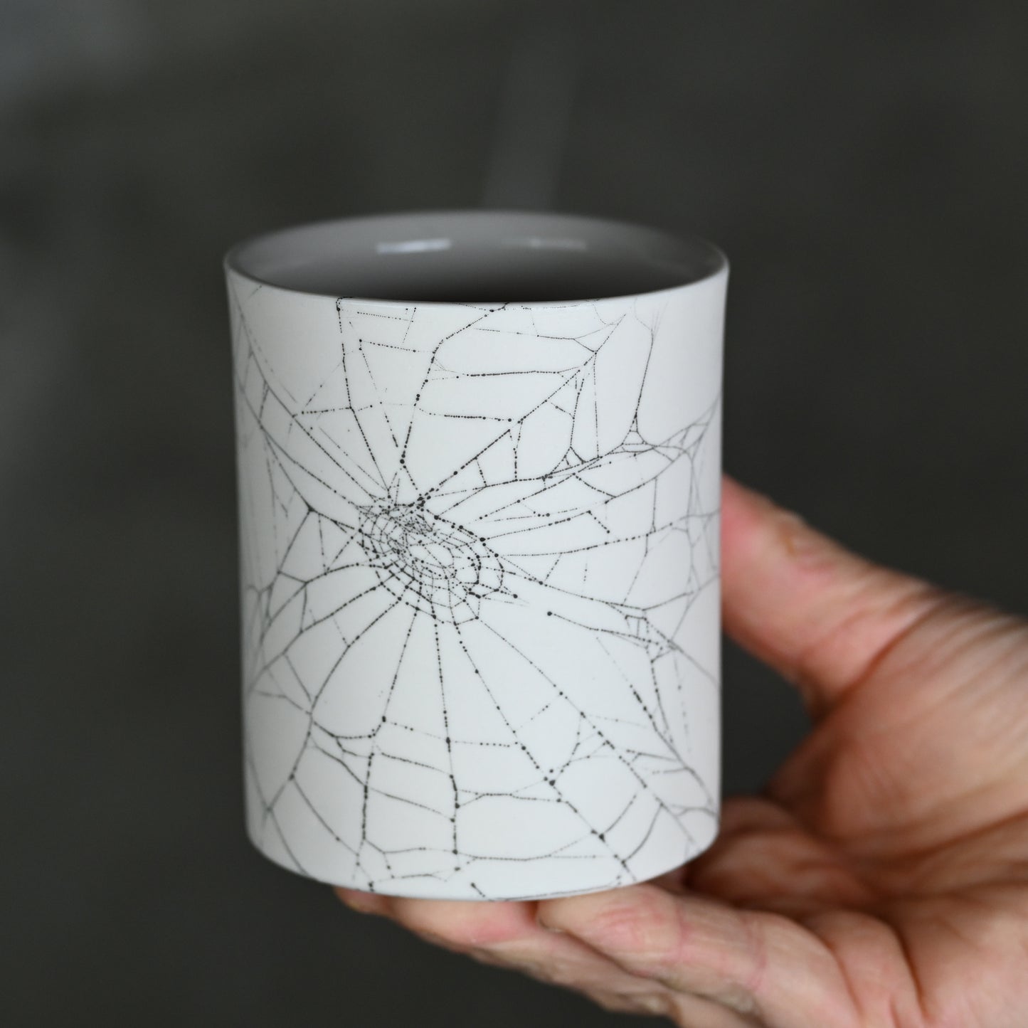 Web on Clay (164), Collected September 19, 2022