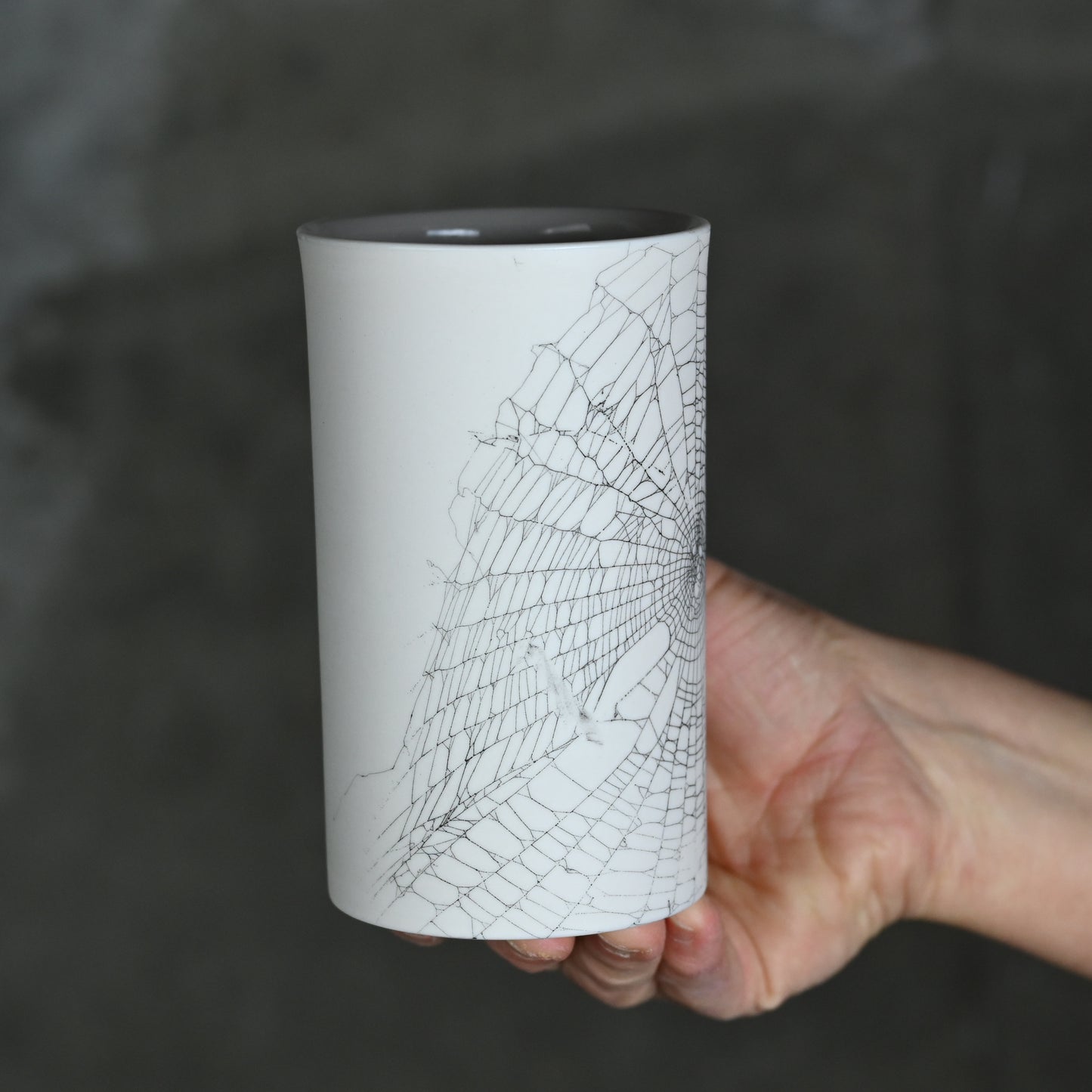 Web on Clay (167), Collected September 17, 2022