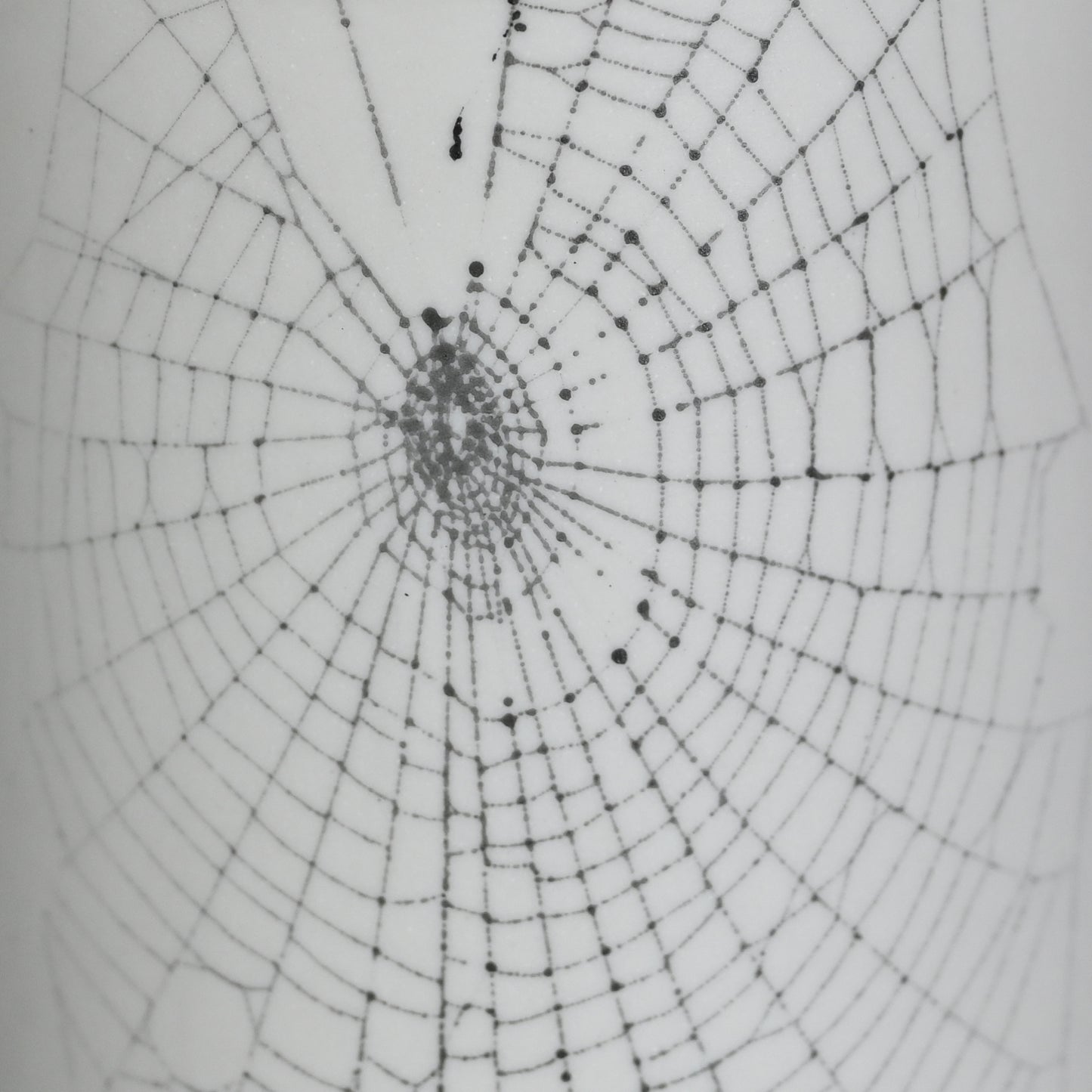 Web on Clay (175), Collected September 12, 2022