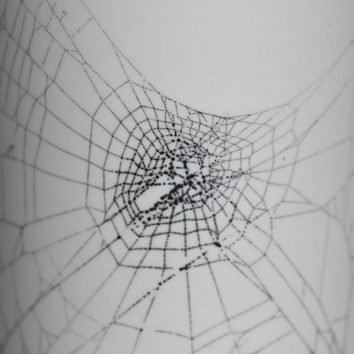Web on Clay (176), Collected September 12, 2022