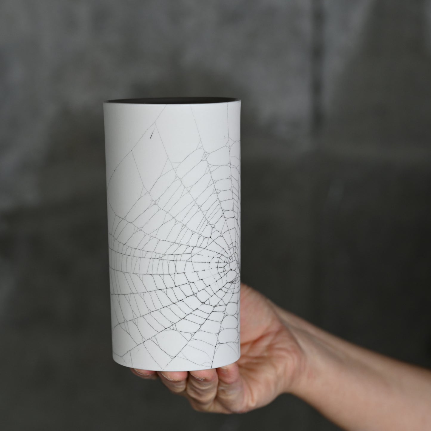 Web on Clay (177), Collected September 17, 2022