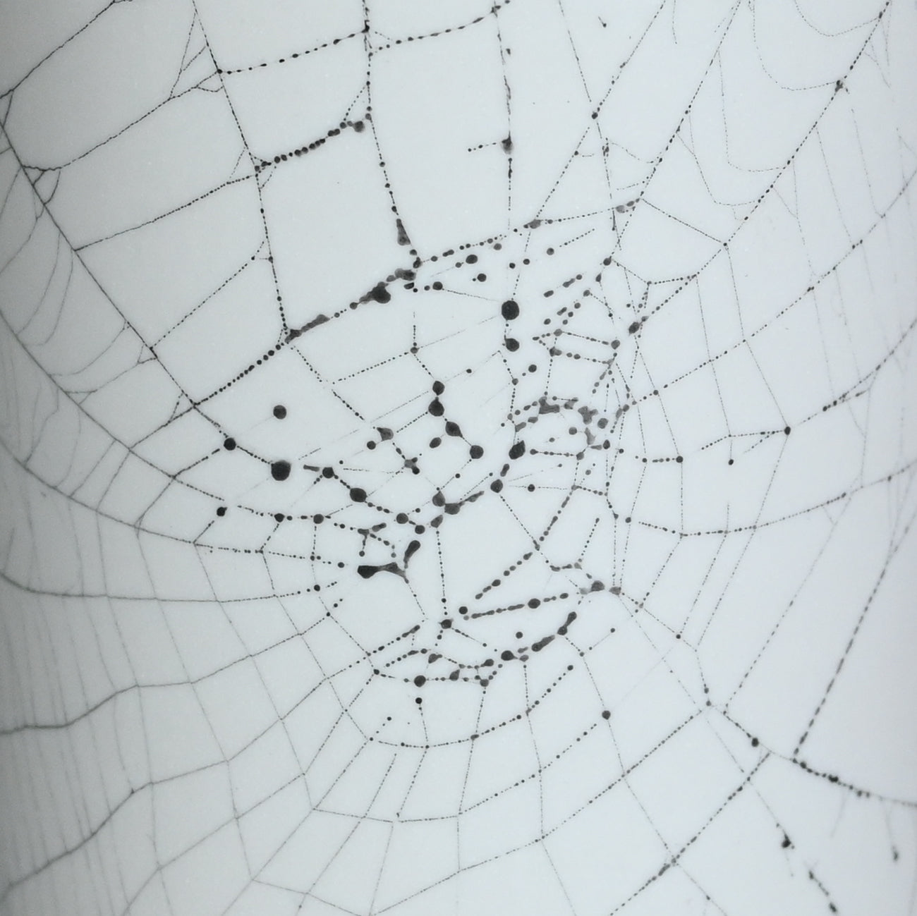 Web on Clay (180), Collected September 11, 2022
