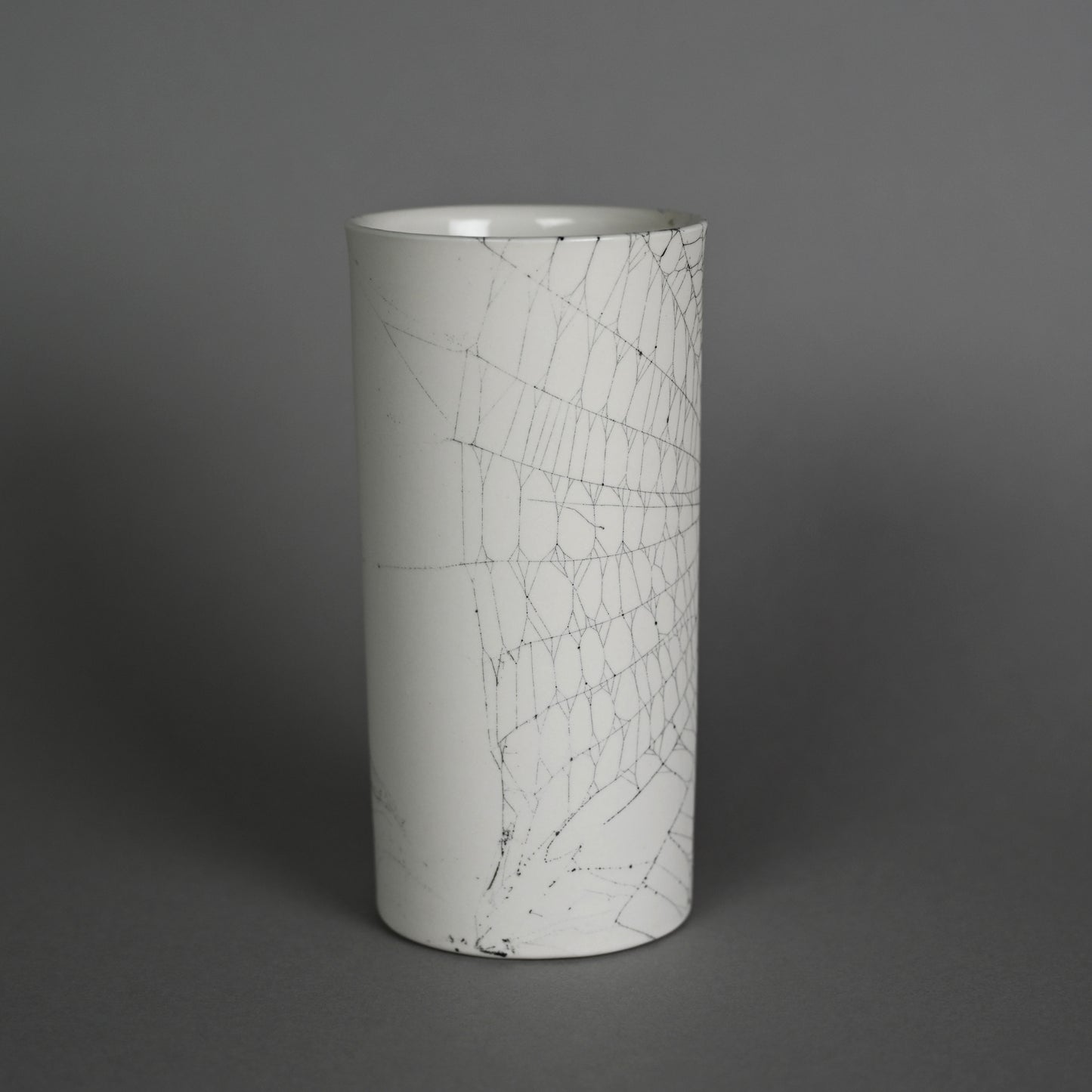 Web on Clay (184), Collected September 24, 2022