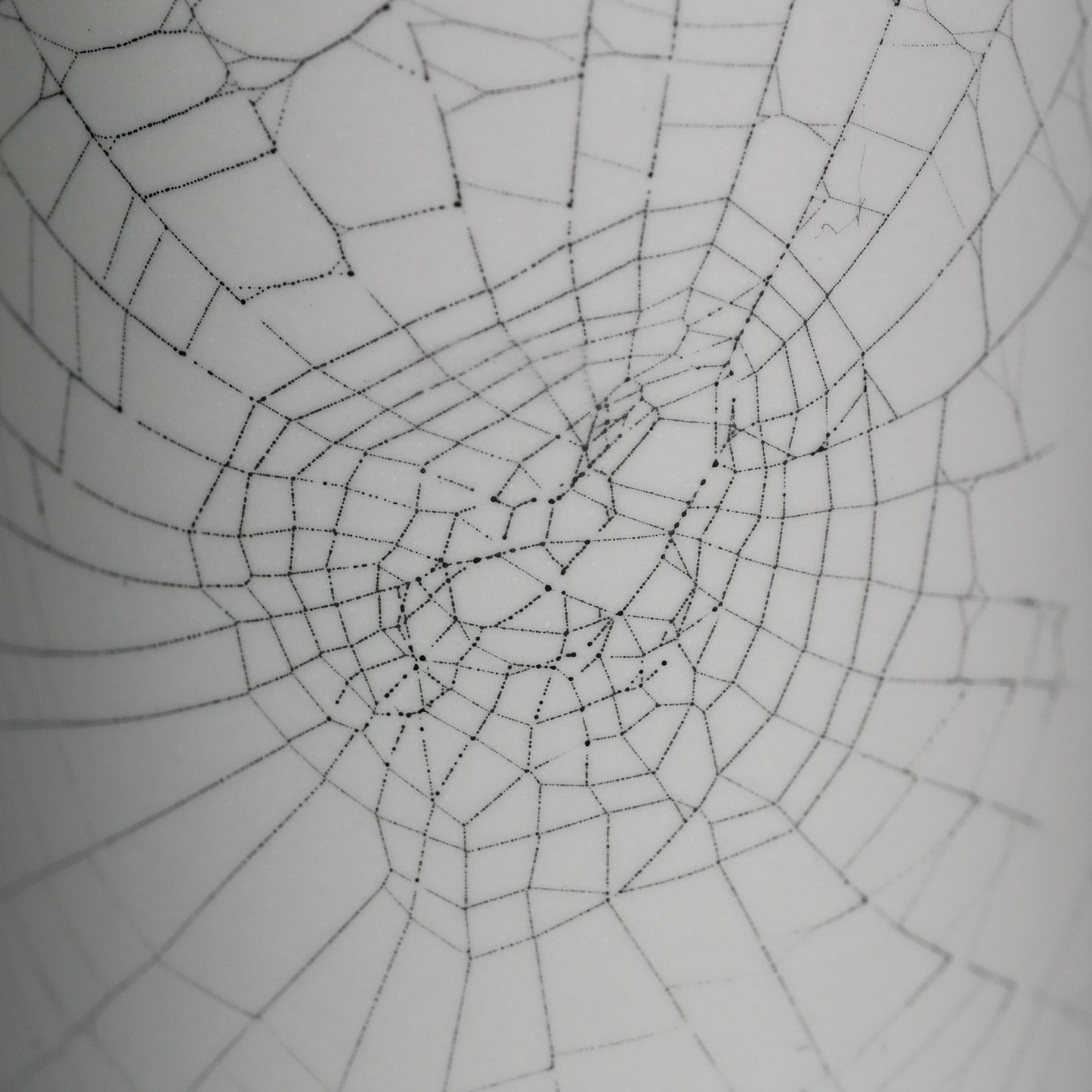 Web on Clay (187), Collected September 24, 2022