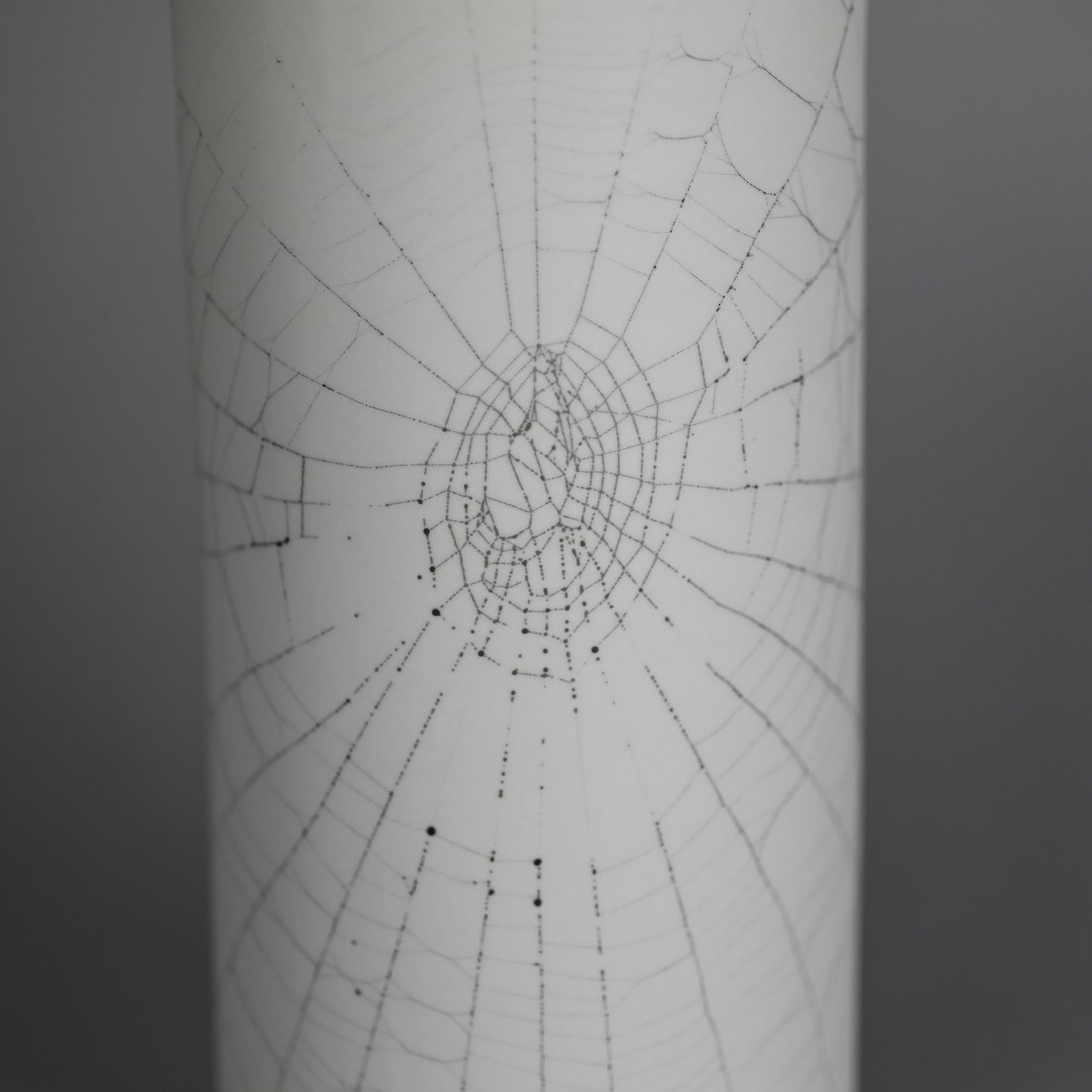 Web on Clay (189), Collected September 25, 2022