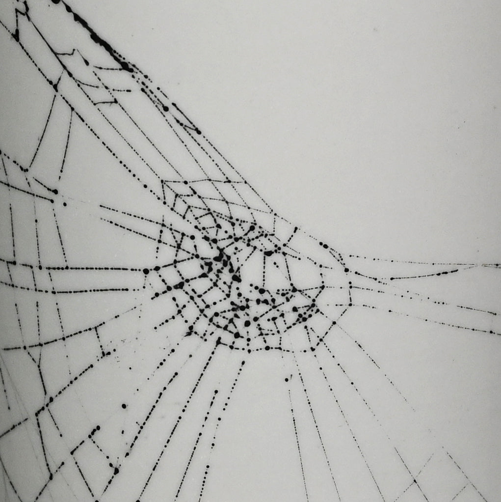 Web on Clay (193), Collected September 19, 2022