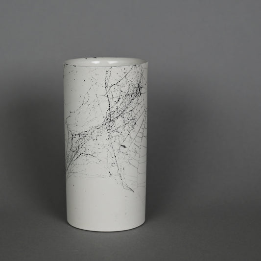 Web on Clay (195), Collected September 19, 2022