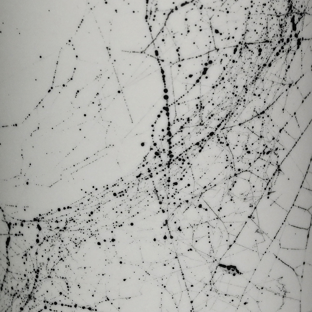 Web on Clay (195), Collected September 19, 2022