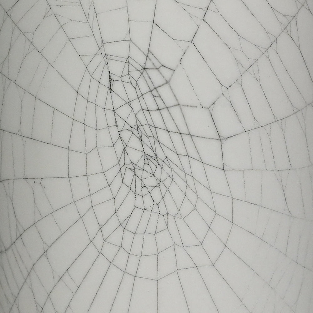 Web on Clay (201), Collected September 17, 2022