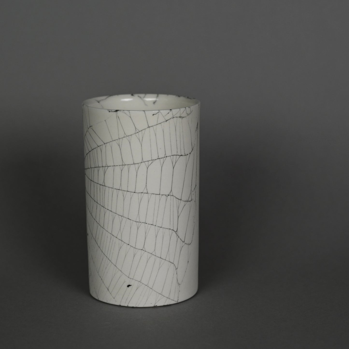 Web on Clay (203), Collected September 25, 2022