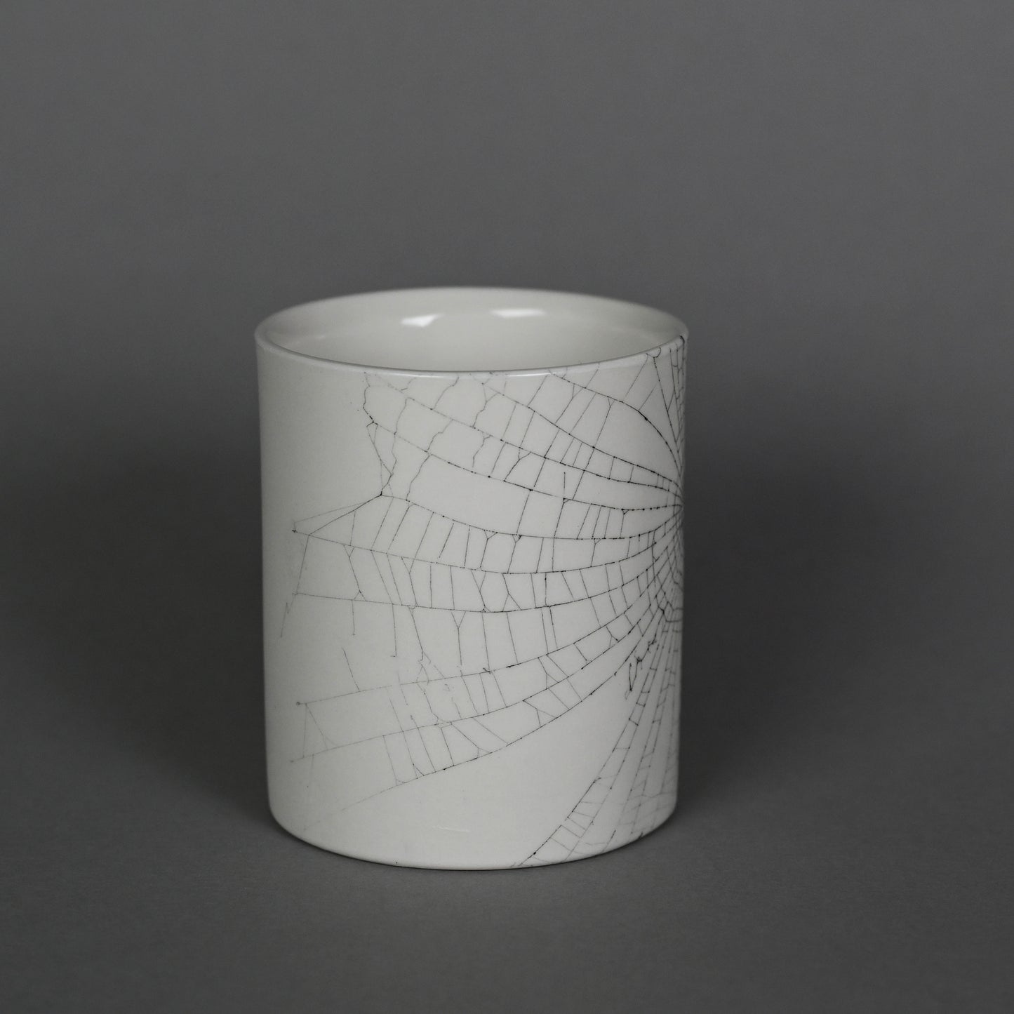 Web on Clay (209), Collected September 30, 2022