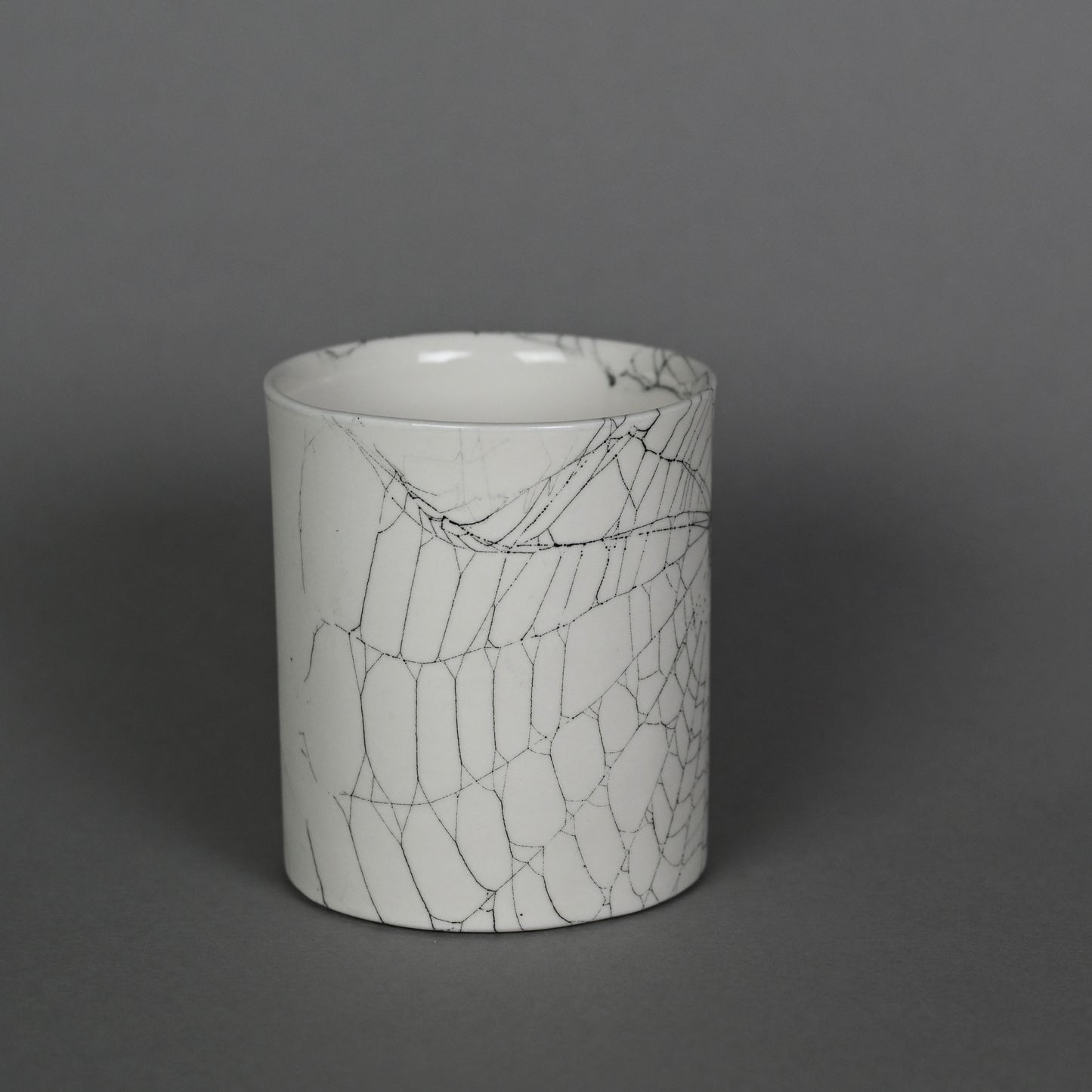Web on Clay (212), Collected October 03, 2022