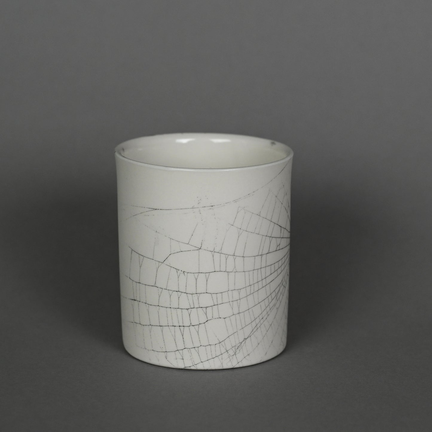 Web on Clay (213), Collected September 25, 2022