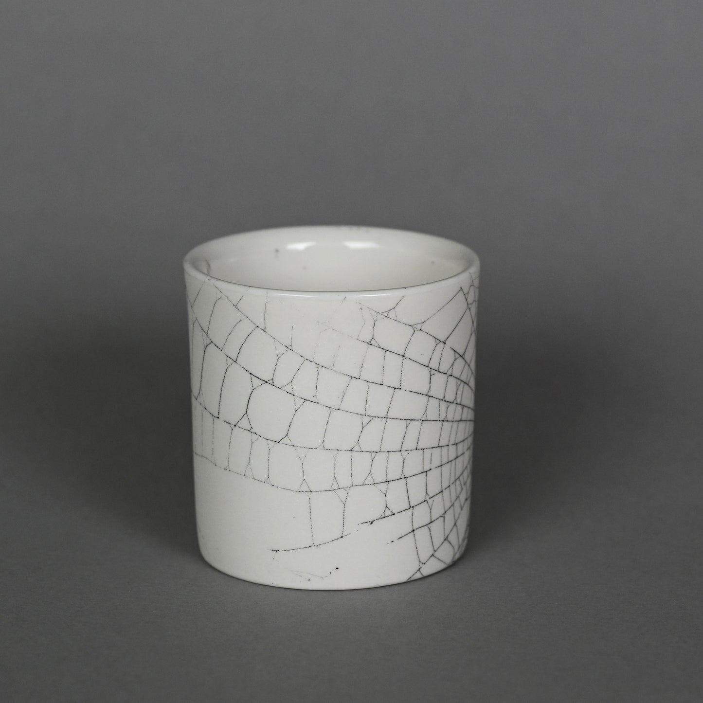 Web on Clay (216), Collected October 01, 2022