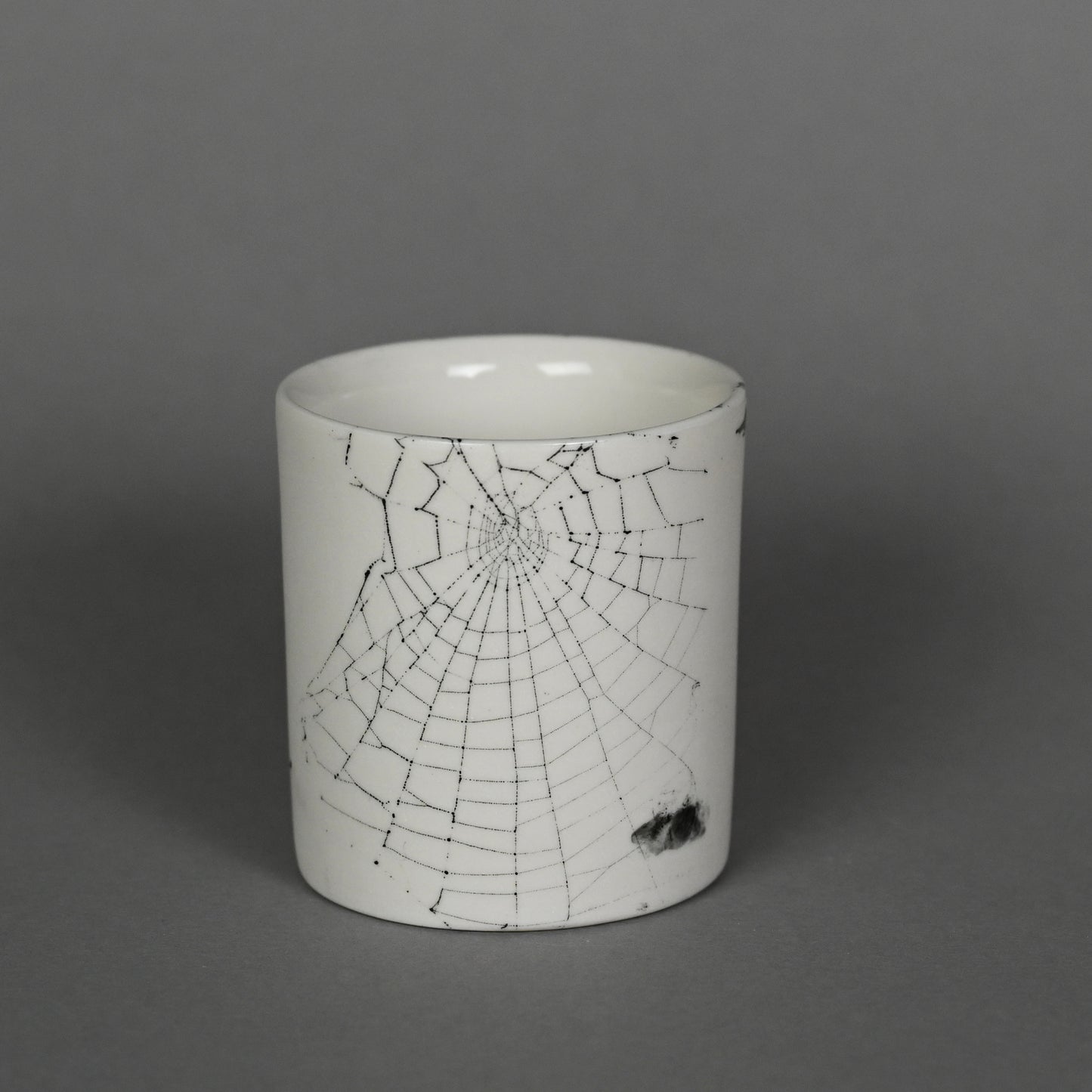 Web on Clay (217), Collected October 01, 2022